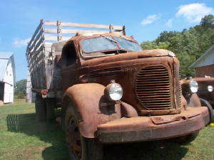 farm/DCP00373.JPG