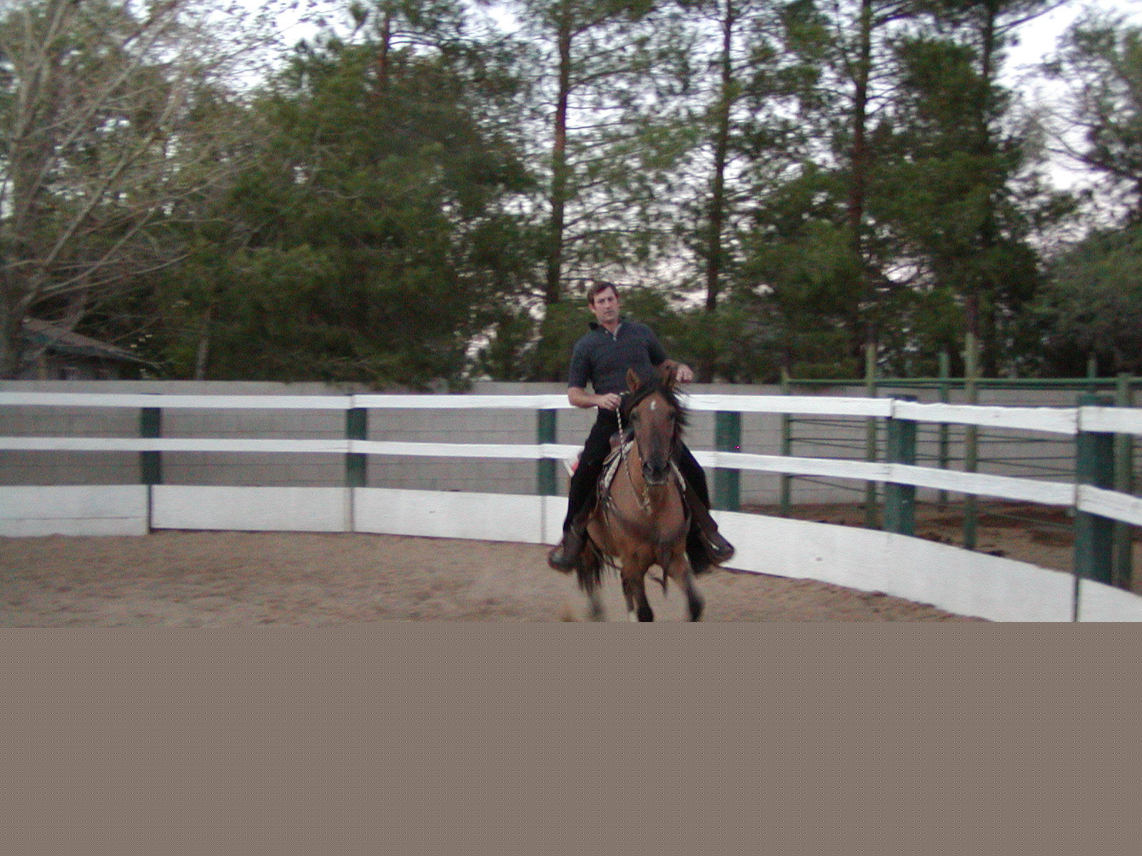 gregnhorse.JPG